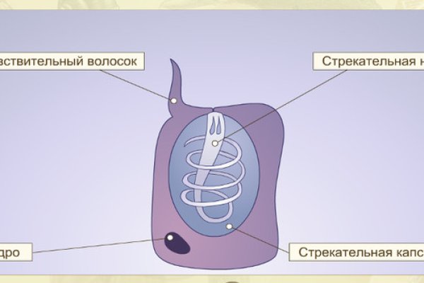 Вход в кракен