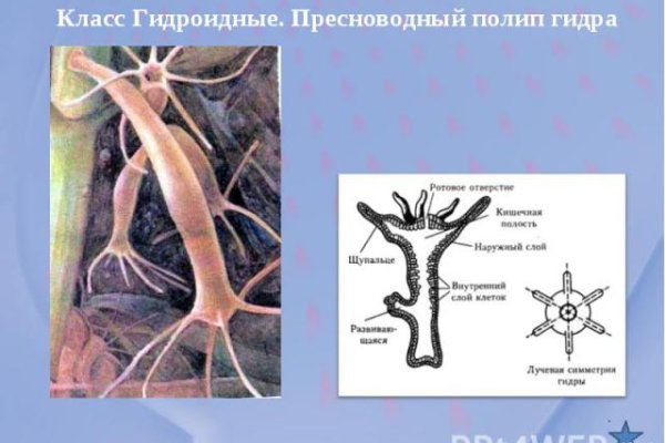 Кракен не заходит