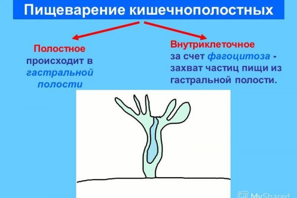 Кракен даркнет ссылка